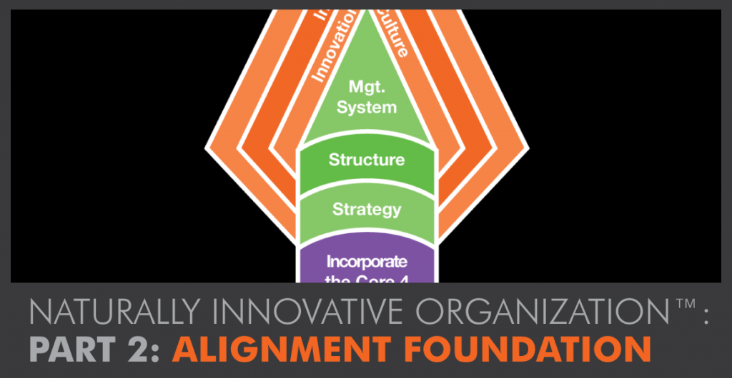 Alignment Foundation: Building a Naturally Innovative Organization™ Part 2