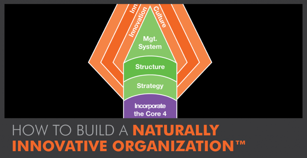 Building a Naturally Innovative Organization™: The Big Think High Performance Spearhead